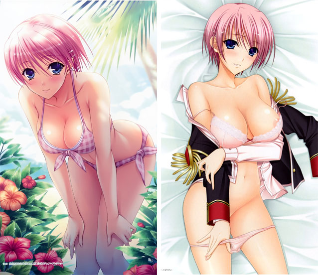 DW010ワルキューレロマンツェ (きさき みお) (10)抱き枕カバー2WAY両面プリント