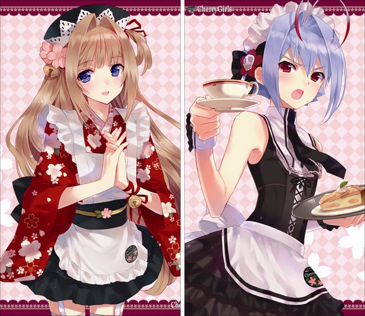 VP0346 オトコのコはメイド服がお好き